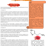 Secretos y funciones de las indolaminas: Una guía esencial