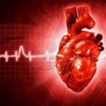 Señales Corporales de un Corazón Silencioso