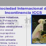 Síntomas y causas del tenesmo vesical