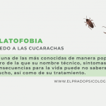Supera tu miedo a las cucarachas