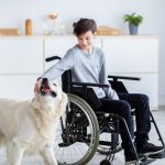 Terapia con animales: una intervención eficaz para la salud