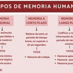 Tipos de memoria: características y clasificaciones principales