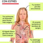 Transforma tu vida eliminando el estrés