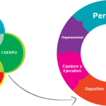 Transformación integral de equipos con enfoque holístico