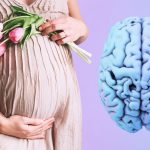 Transformaciones cerebrales durante la maternidad