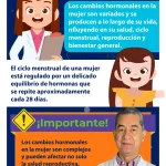 Transformaciones hormonales durante la menopausia