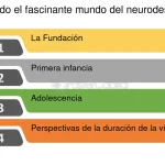 Trastornos del desarrollo neurológico: un viaje para comprenderlos