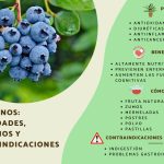 Ventajas y beneficios del arándano para la salud
