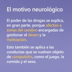 Verdades Ocultas sobre el Consumo de Drogas