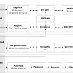 Verdades y Ficciones sobre los Trastornos de Personalidad