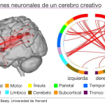 Zonas cerebrales clave en el proceso creativo