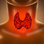 Afecciones del sistema endocrino: una guía detallada