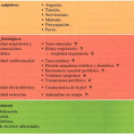 Ansiedad vs Problemas Respiratorios: Distinciones Clave