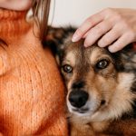 Caricias: Impacto positivo respaldado por la ciencia