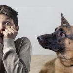 Cinofobia: Entendiendo el miedo irracional a los perros