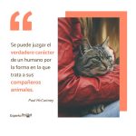 Citas Inspiradoras del Mundo Animal