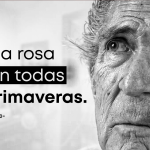 Citas memorables de Antonio Gala: esencia literaria