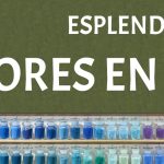 Colores de la Edad Media: Historia y Significado