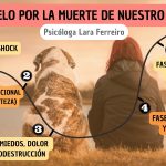 Cómo afrontar la pérdida de tu perro querido