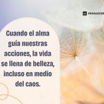 Conecta con la esencia: frases que inspiran el alma