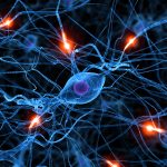 Conexiones Cerebrales: El Arte de la Comunicación Neuronal