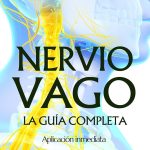 Conoce el Fascinante Mundo del Nervio Vago