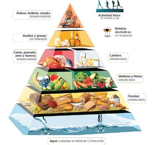 Contraste entre alimentación y nutrición: una guía esencial