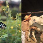 Diciembre: Un Viaje Interior