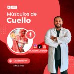 El Fascinante Mundo de la Glotis: Funciones y Secretos