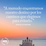 Encontrando Significado a Través de Frases Inspiradoras