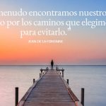 Encuentra tu propósito más allá del azar y el destino