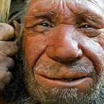 ¿Es nuestra especie más inteligente que los neandertales?