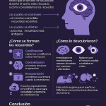 Estudio revela que pupilas reflejan la memoria humana