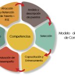 Evaluación Integral de Talento y Competencias Profesionales