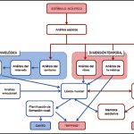 Funcionamiento de la psicología en el ámbito musical