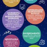 Funciones y beneficios del neurotransmisor GABA