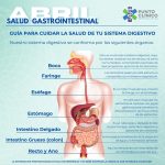 Guía Completa sobre Afecciones del Estómago
