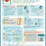 Guía completa sobre la enfermedad de Lyme