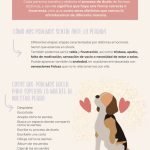 Guía para Ayudar a Tus Hijos tras la Pérdida de una Mascota