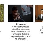 Identificación de indicios: Diferencia entre prueba y evidencia