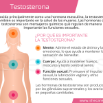 Impacto de la testosterona en tu salud y bienestar