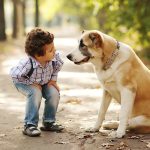 Impacto del maltrato animal en menores y niños