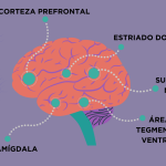 Impacto del Parkinson en la Salud Cerebral