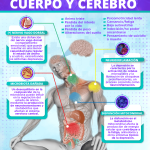 La depresión va más allá del cerebro