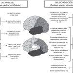 La Peligrosidad de la Adicción al Juego