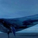 La preocupante conexión entre la ballena azul y los jóvenes