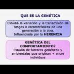 La relación entre genética y comportamiento humano