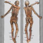 Los enigmáticos tatuajes de Ötzi la momia del hielo