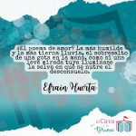 Misterios del Amor: Poemas que Sienten y Viven