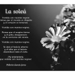 Obras Poéticas de Federico García Lorca